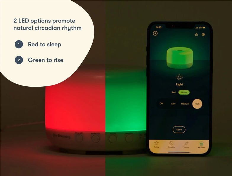 Ultimate Dreamers Bundle