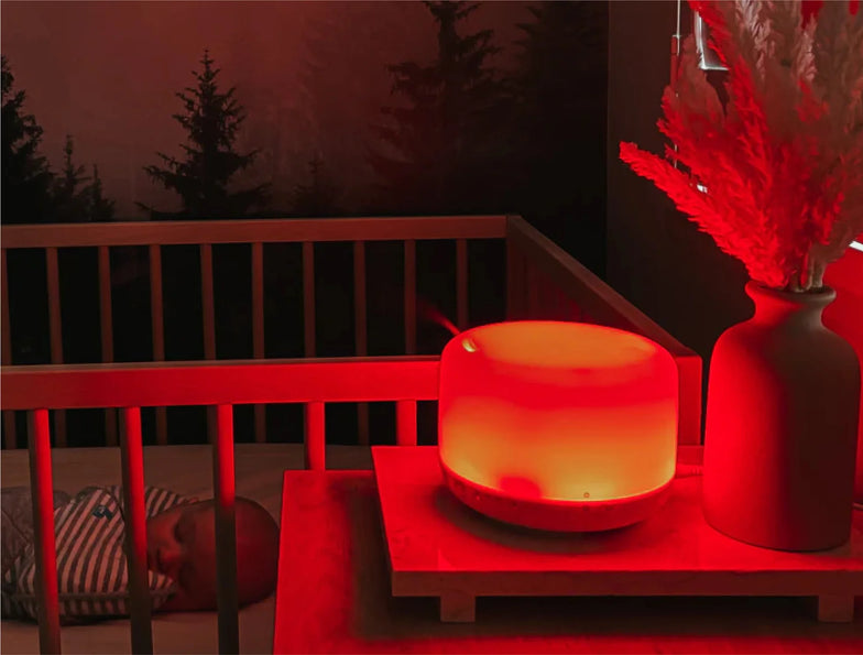 Ultimate Dreamers Bundle